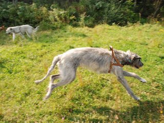 2009-09-20_ntb_8431