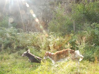 2009-09-20_ntb_8432