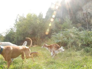 2009-09-20_ntb_8433