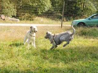 2009-09-20_ntb_8437