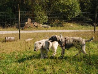 2009-09-20_ntb_8438