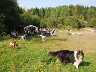 2009-09-20_ntb_8443