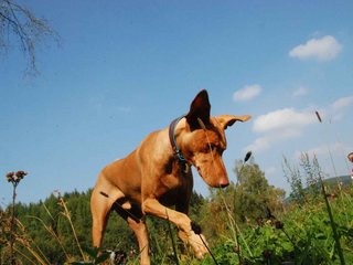 2009-09-20_ntb_8444