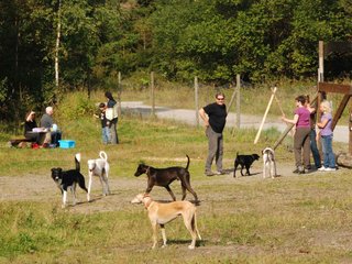 2009-09-20_ntb_8445