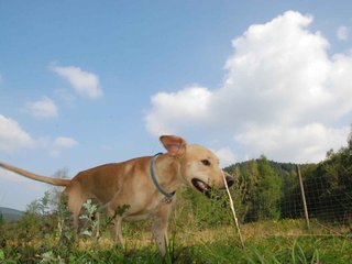 2009-09-20_ntb_8447