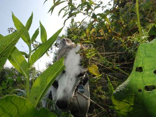 2009-09-20_ntb_8451