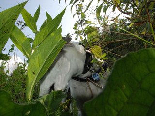 2009-09-20_ntb_8452