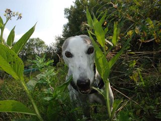 2009-09-20_ntb_8463