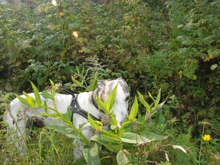 2009-09-20_ntb_8473