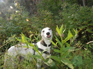 2009-09-20_ntb_8474