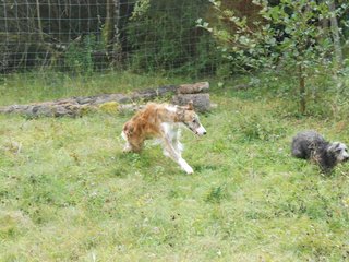 2009-09-20_ntb_8475