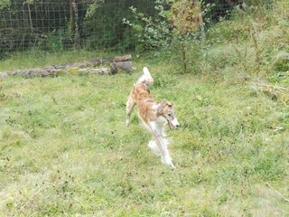 2009-09-20_ntb_8476
