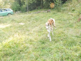 2009-09-20_ntb_8477