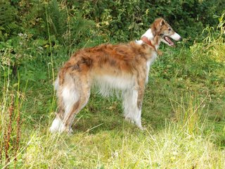 2009-09-20_ntb_8481