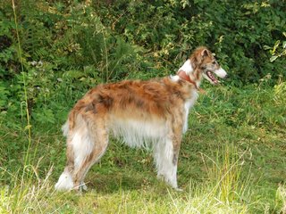 2009-09-20_ntb_8482