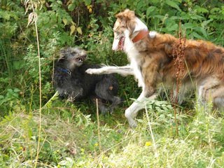 2009-09-20_ntb_8485