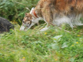 2009-09-20_ntb_8488