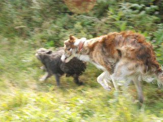 2009-09-20_ntb_8489