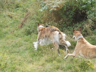 2009-09-20_ntb_8490