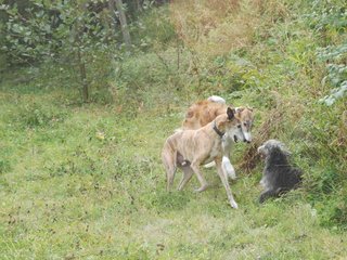 2009-09-20_ntb_8491