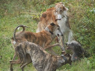 2009-09-20_ntb_8494