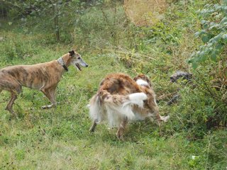2009-09-20_ntb_8504