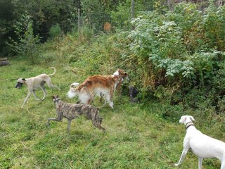 2009-09-20_ntb_8507