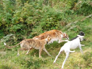 2009-09-20_ntb_8511
