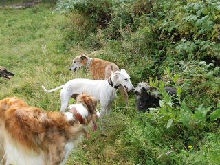 2009-09-20_ntb_8514