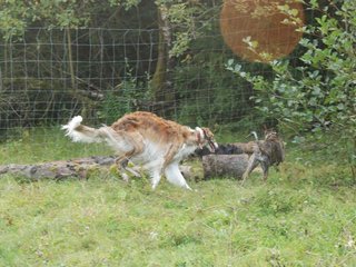 2009-09-20_ntb_8516