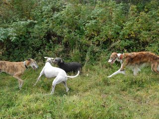 2009-09-20_ntb_8519