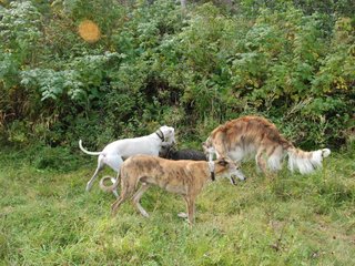 2009-09-20_ntb_8520