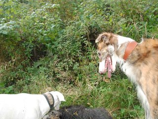 2009-09-20_ntb_8522