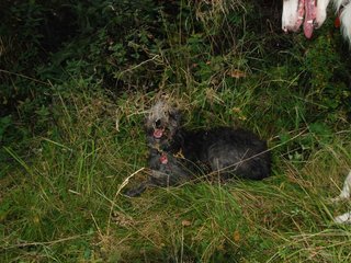 2009-09-20_ntb_8524