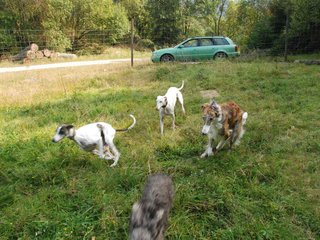2009-09-20_ntb_8527
