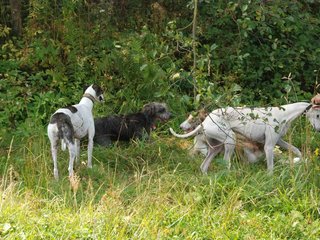 2009-09-20_ntb_8528