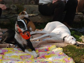 2009-09-20_ntb_8535