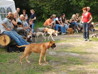 2009-09-20_ntb_8543