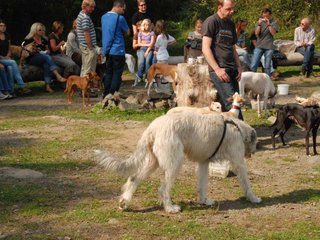 2009-09-20_ntb_8545