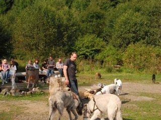 2009-09-20_ntb_8547