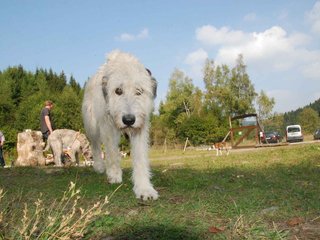 2009-09-20_ntb_8548