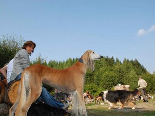 2009-09-20_ntb_8549