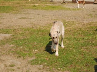 2009-09-20_ntb_8552