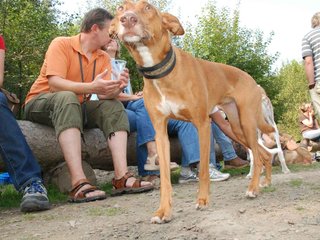 2009-09-20_ntb_8553