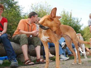 2009-09-20_ntb_8555
