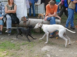 2009-09-20_ntb_8559