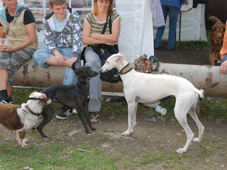 2009-09-20_ntb_8560