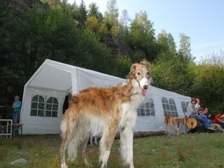 2009-09-20_ntb_8563