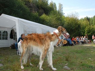 2009-09-20_ntb_8564