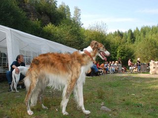 2009-09-20_ntb_8565